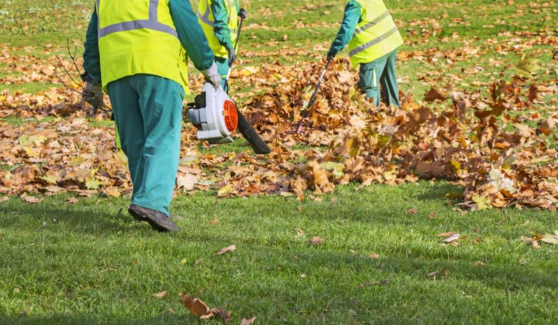 Efficient Leaf Removal Tools