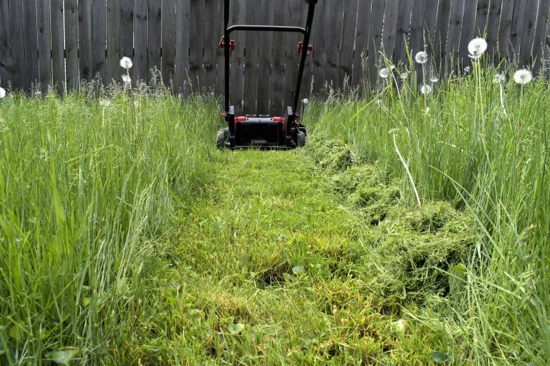 Lawn Maintenance Equipment