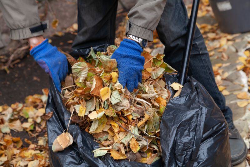 Leaf Collection in Bags