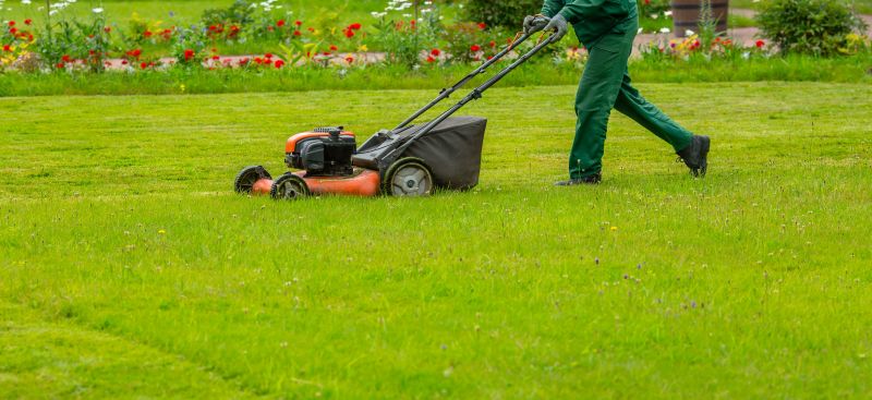 Lawn Care During Holidays