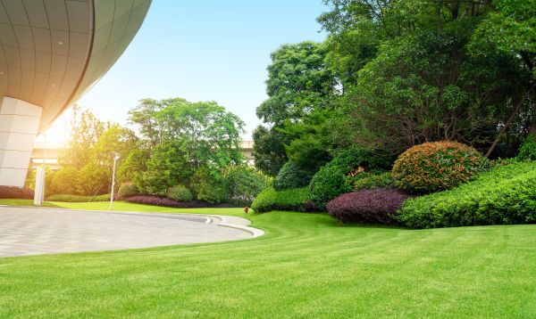 Cost of Commercial Lawn Mowing in Columbus