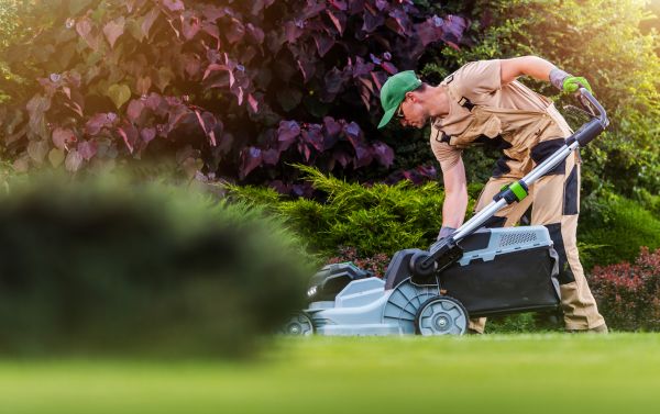 Cost of Lawn Care And Maintenance in Columbus