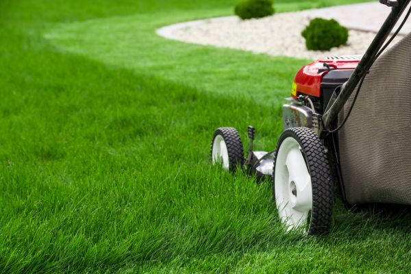 Cost of Mowing Service in Columbus