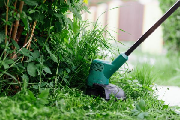 Cost of Weed Whacking in Columbus