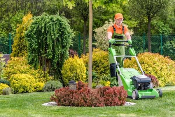 Cost of Yard Service in Columbus