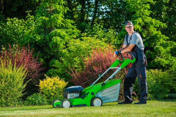 Cost of Yard Work Service in Columbus