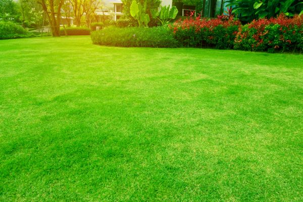 Cost of Grass Maintenance in Columbus