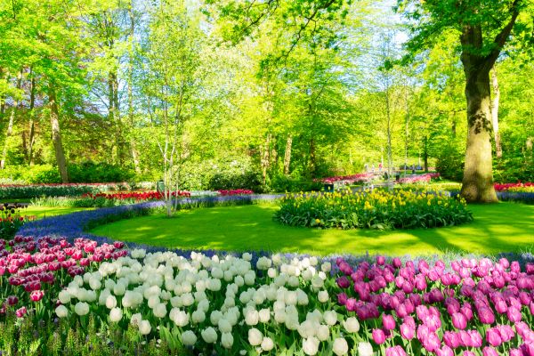 Cost of Spring Lawn Care in Columbus