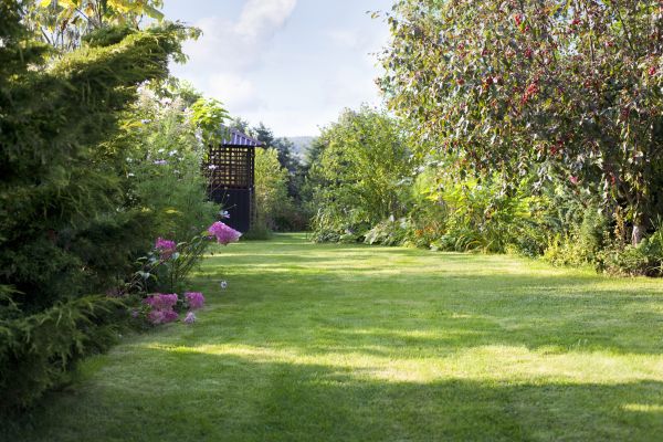 Cost of Yard Upkeep Service in Columbus