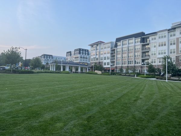 Cost of Urban Lawn Care in Columbus