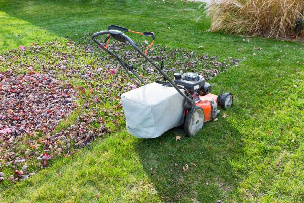 Cost of Seasonal Lawn Care in Columbus