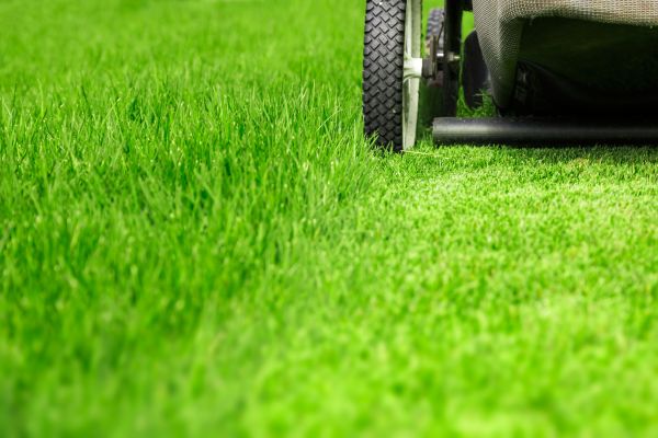 Cost of Weekly Lawn Care in Columbus