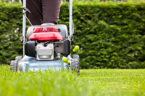 Cost of Grass Trimming Service in Columbus