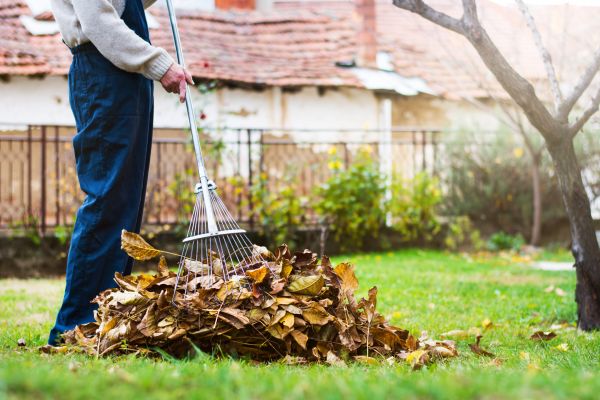 Cost of Routine Lawn Maintenance in Columbus