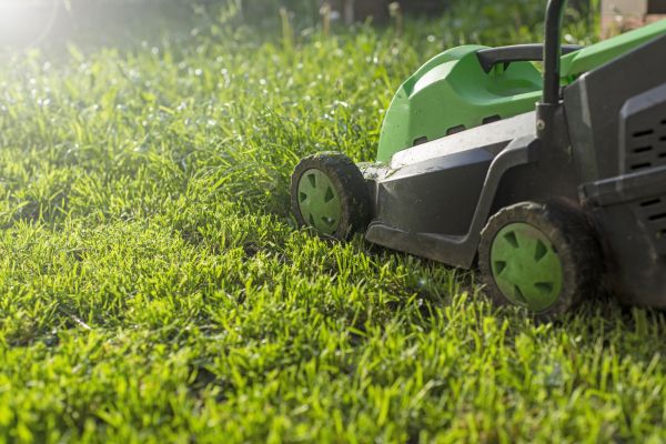 Cost of Lot Mowing in Columbus