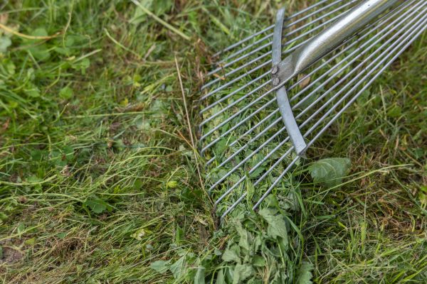 Cost of Thatch Raking in Columbus