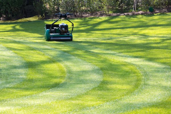Cost of Business Lawn Mowing in Columbus