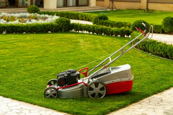 Cost of Business Grass Cutting in Columbus