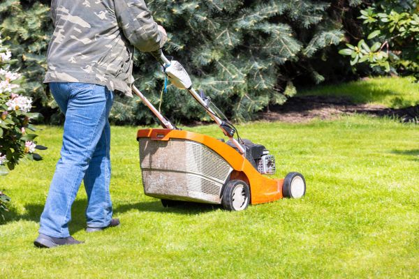 Cost of Springtime Lawn Care in Columbus