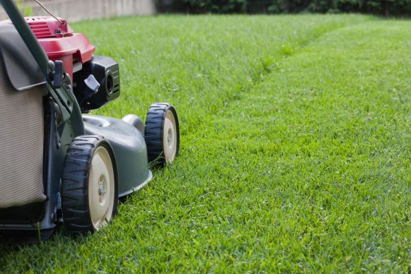 Cost of Spring Lawn Maintenance in Columbus