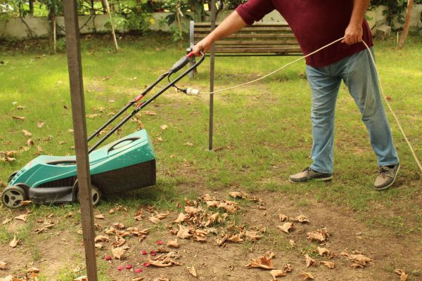 Cost of Leaves Mowing in Columbus