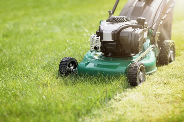 Cost of Spring Grass Trimming in Columbus
