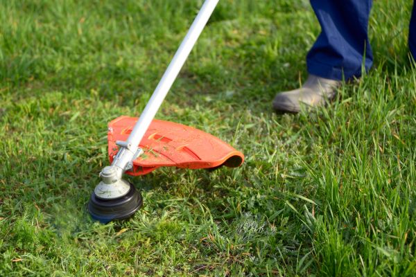 Cost of Lawn Weed Whacking in Columbus