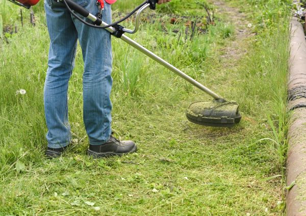 Cost of Tall Grass Trimming in Columbus
